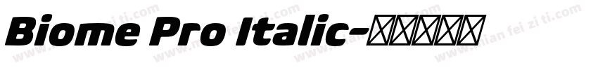 Biome Pro Italic字体转换